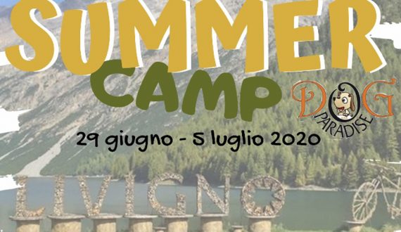 Dog Paradise - News - Attività - Summer Camp - 2020 - Immagine in Evidenza