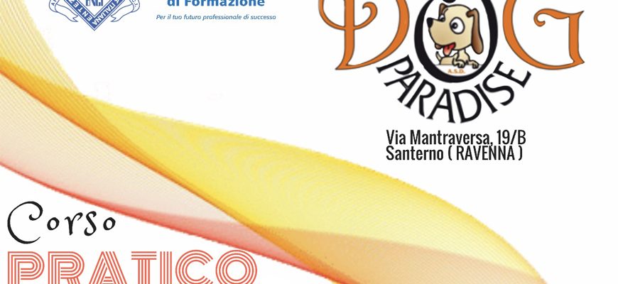 Dog Paradise - News - Corsi - Corso Pratico CEF - 2020 - Immagine in Evidenza