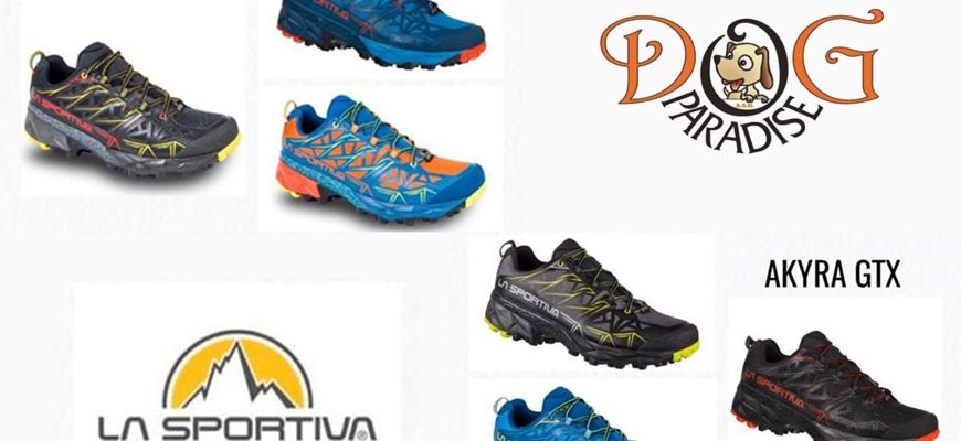 Dog Paradise - News - Convenzioni - La Sportiva Scarpe - 2020 - Immagine in Evidenza