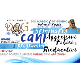 Dog Paradise - Corsi e Seminari - Cani Fobici - ImmEvidenza