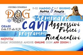 Dog Paradise - News - Seminari - Cani Aggressivi e Fobici - 2020 - OnLine Evidenza