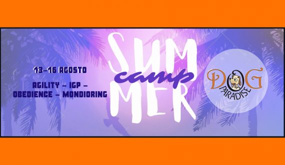 Dog Paradise - News - Attività - Summer Camp - Agosto 2020 - Imm in Evidenza