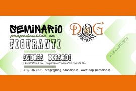 Dog Paradise News Corsi Corso Figuranti 2020 Imm in Evidenza