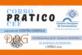 Dog Paradise News Corso Pratico CEF 2021 Imm in Evidenza