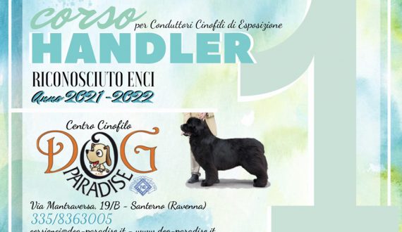 Dog Paradise Corso Handler ENCI 2021 2022 Imm Evidenza