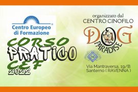 Dog Paradise - News - Corso Pratico CEF 2022 - Imm in Evidenza