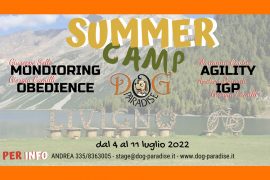 Dog Paradise - News - Attività - Summer Camp - Luglio 2021 - Immagine in Evidenza