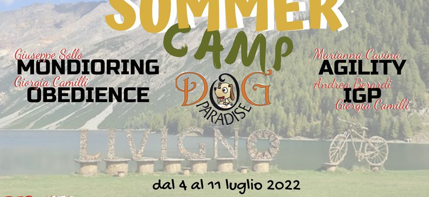 Dog Paradise - News - Attività - Summer Camp - Luglio 2021 - Immagine in Evidenza