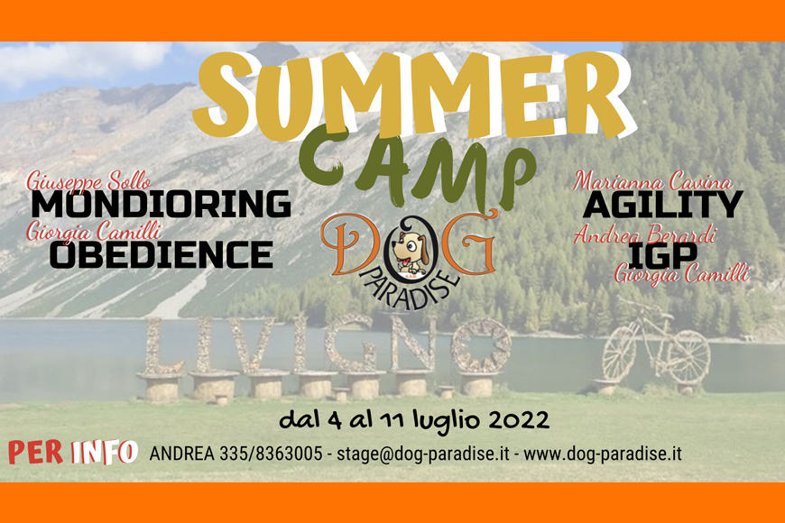 Dog Paradise - News - Attività - Summer Camp - Luglio 2021 - Immagine in Evidenza