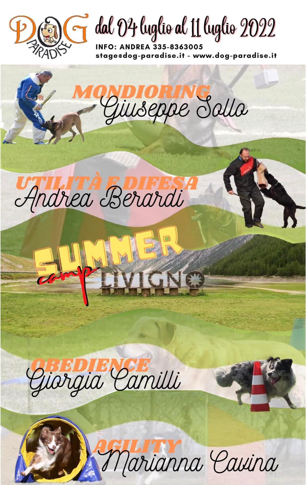 Dog Paradise - Summer Camp 2022 - Locandina