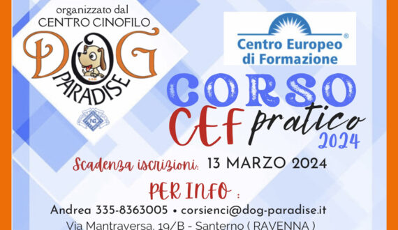 Dog Paradise - 2024 - Corso CEF - Evidenza - remake